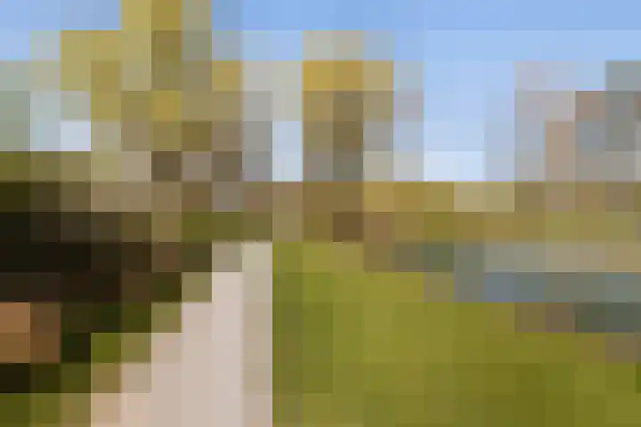 Distelvlinderberm 14 Houten thumbnail 43