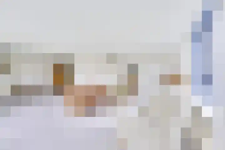 Distelvlinderberm 42 Houten thumbnail 16