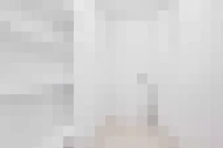 Distelvlinderberm 42 Houten thumbnail 19