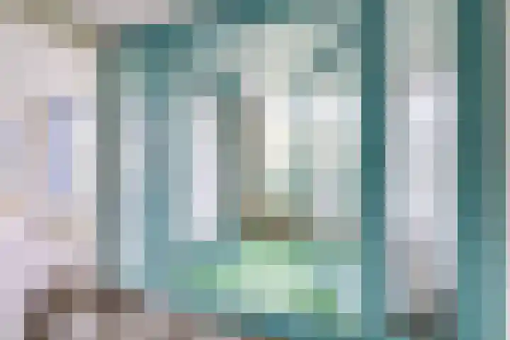 Distelvlinderberm 42 Houten thumbnail 20