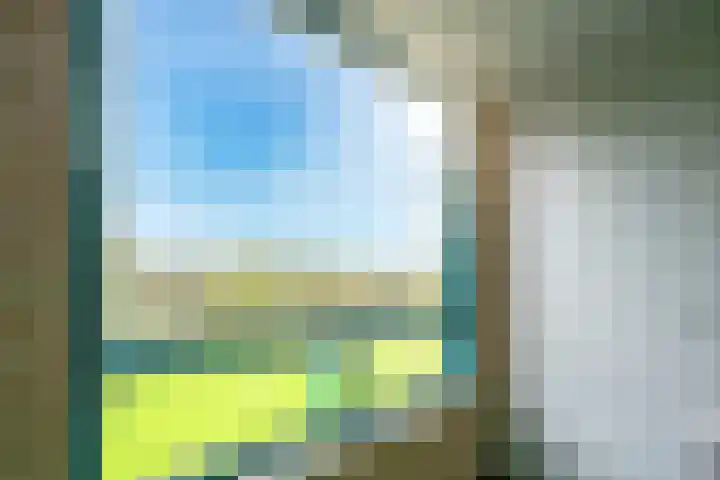 Distelvlinderberm 42 Houten thumbnail 21