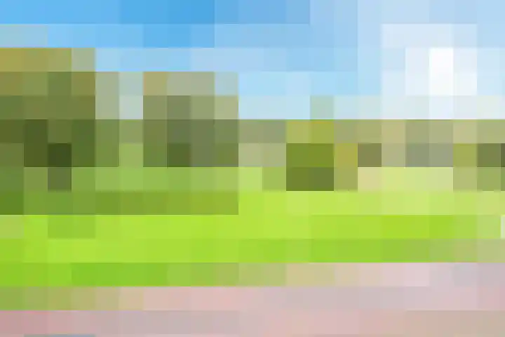 Distelvlinderberm 42 Houten thumbnail 22