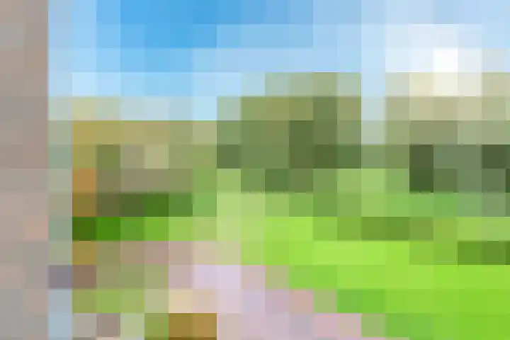 Distelvlinderberm 42 Houten thumbnail 23