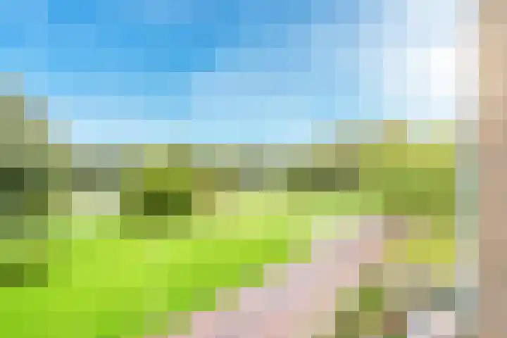Distelvlinderberm 42 Houten thumbnail 24