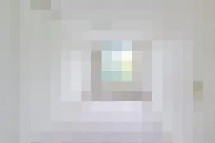 Distelvlinderberm 42 Houten thumbnail 26