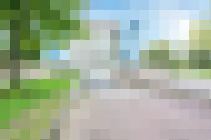 Distelvlinderberm 42 Houten thumbnail 37
