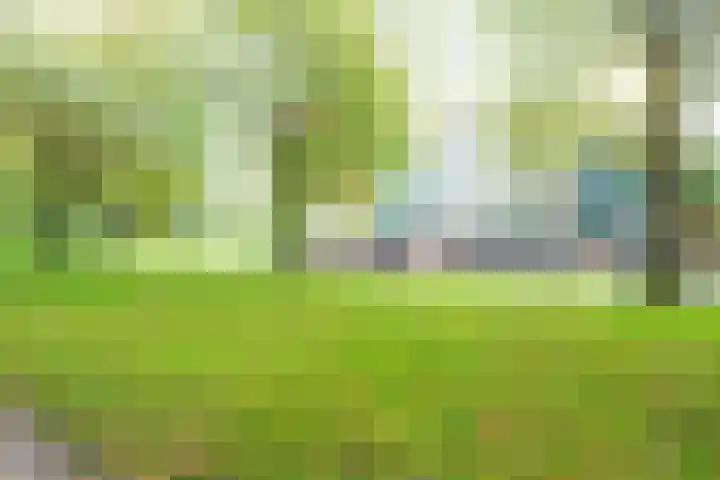 Distelvlinderberm 42 Houten thumbnail 38