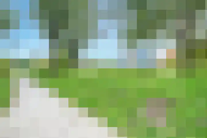 Distelvlinderberm 42 Houten thumbnail 39