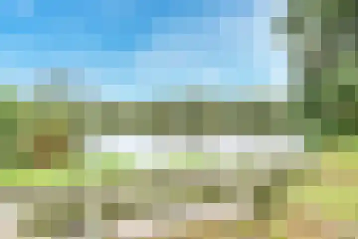 Distelvlinderberm 42 Houten thumbnail 40