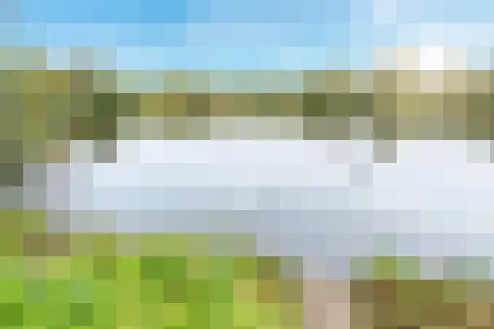 Distelvlinderberm 42 Houten thumbnail 41