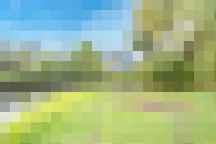 Distelvlinderberm 42 Houten thumbnail 42