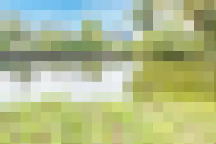 Distelvlinderberm 42 Houten thumbnail 43