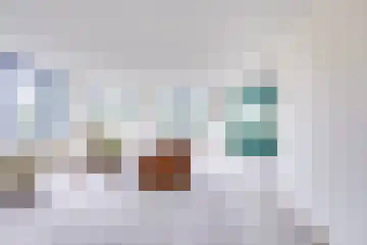 Distelvlinderberm 42 Houten thumbnail 7