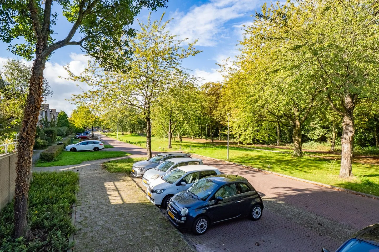 Distelvlinderberm 46 Houten thumbnail 44