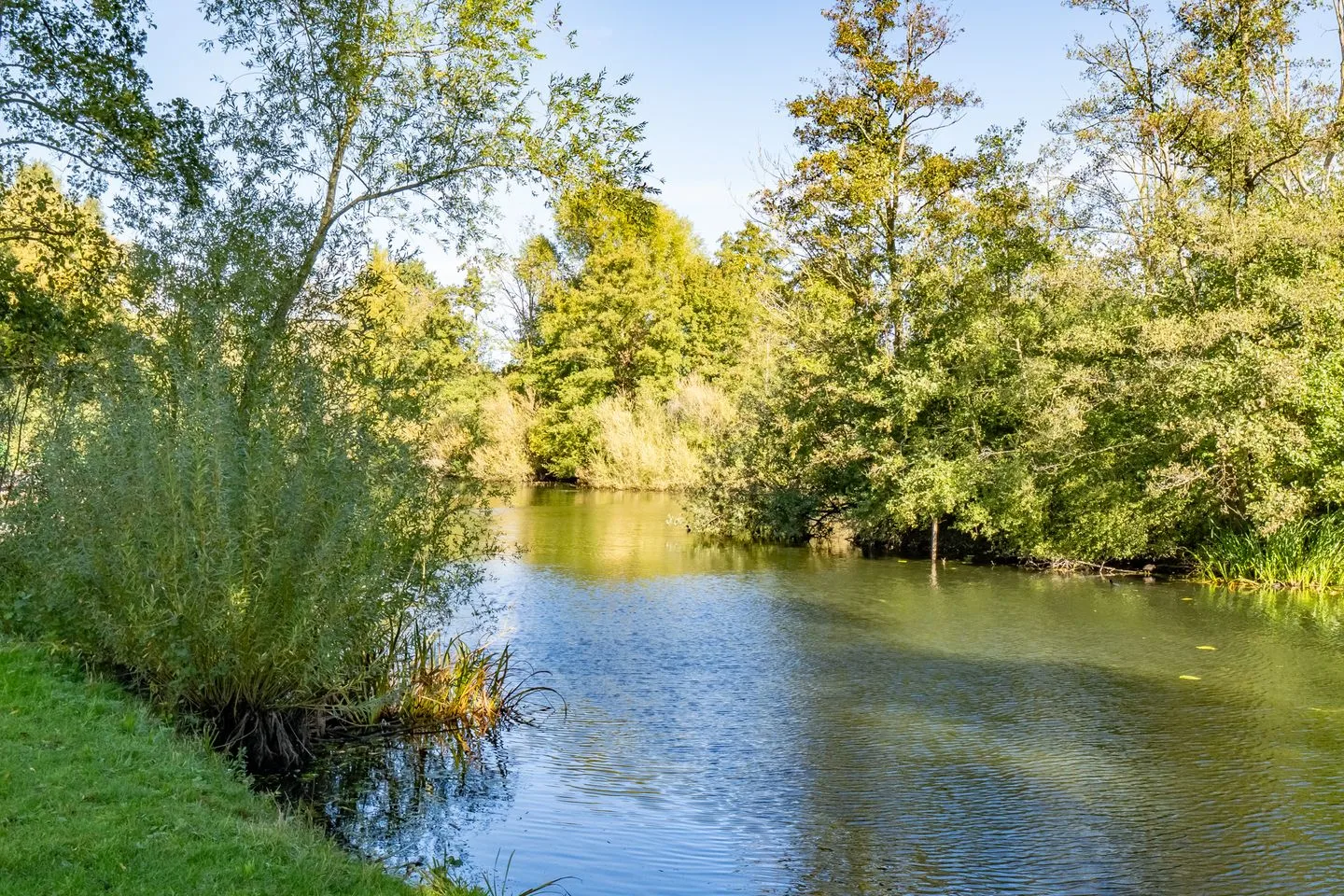 Distelvlinderberm 46 Houten thumbnail 7