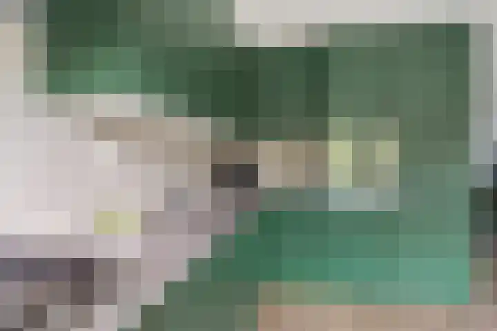 Distelvlinderberm 56 Houten thumbnail 10