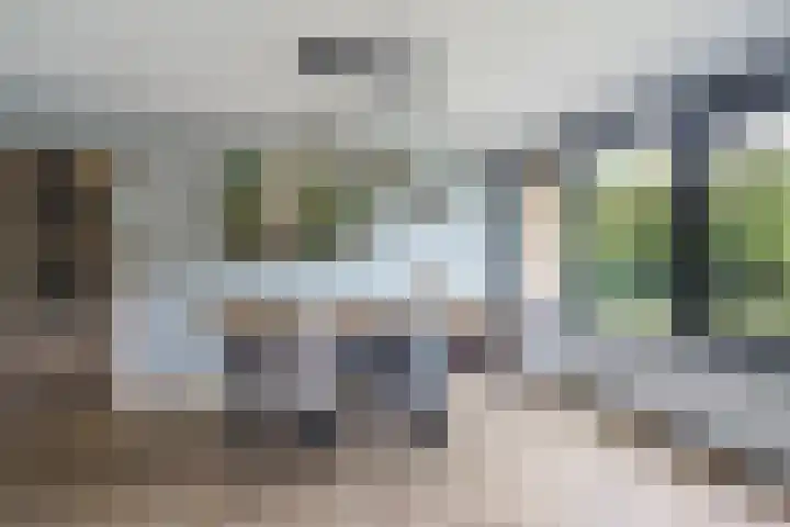 Distelvlinderberm 56 Houten thumbnail 11
