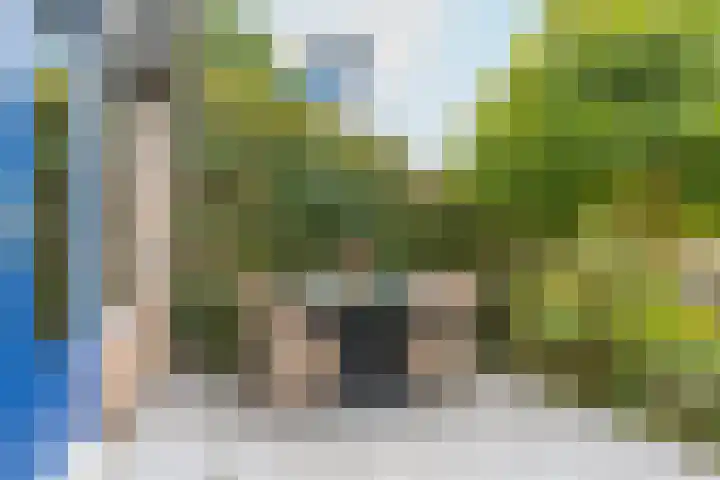 Distelvlinderberm 56 Houten thumbnail 13