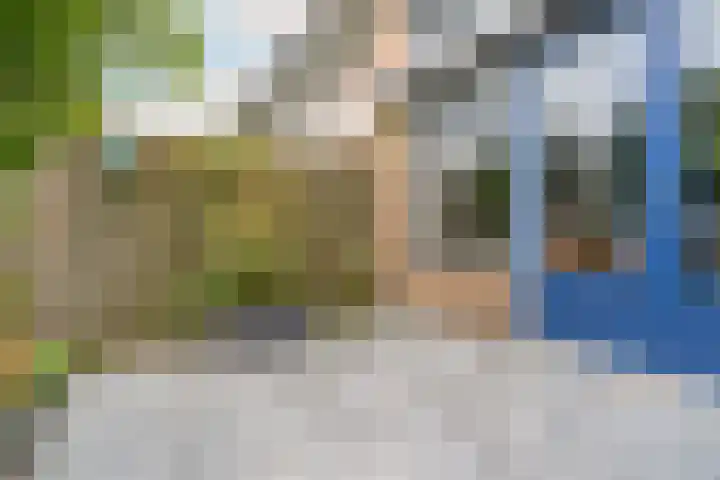 Distelvlinderberm 56 Houten thumbnail 14