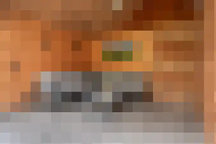 Distelvlinderberm 56 Houten thumbnail 16