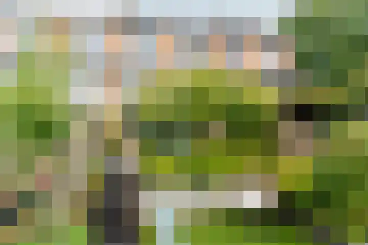Distelvlinderberm 56 Houten thumbnail 17
