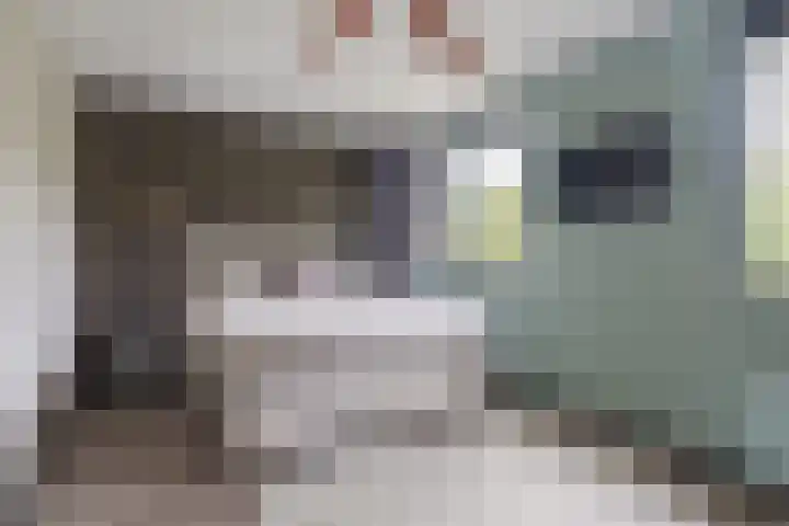 Distelvlinderberm 56 Houten thumbnail 19