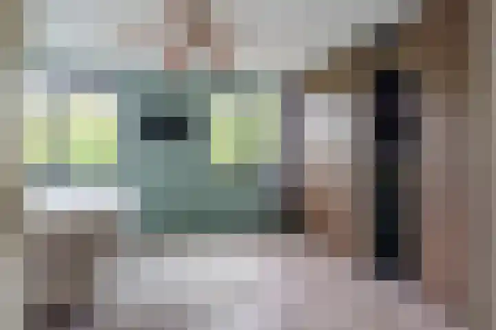 Distelvlinderberm 56 Houten thumbnail 20