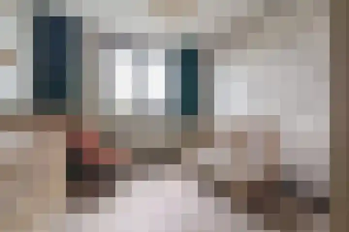 Distelvlinderberm 56 Houten thumbnail 22