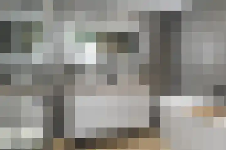 Distelvlinderberm 56 Houten thumbnail 23