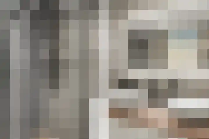 Distelvlinderberm 56 Houten thumbnail 25