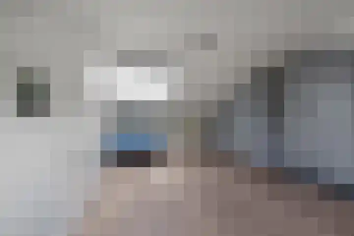 Distelvlinderberm 56 Houten thumbnail 27