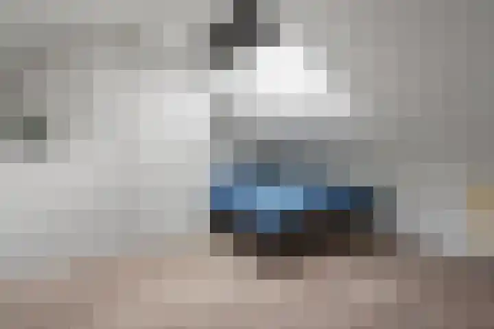 Distelvlinderberm 56 Houten thumbnail 28
