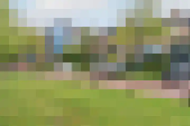 Distelvlinderberm 56 Houten thumbnail 29