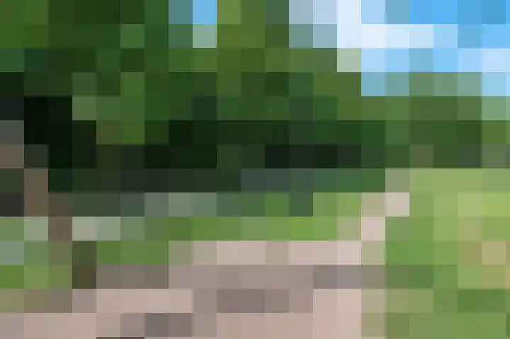Distelvlinderberm 56 Houten thumbnail 31