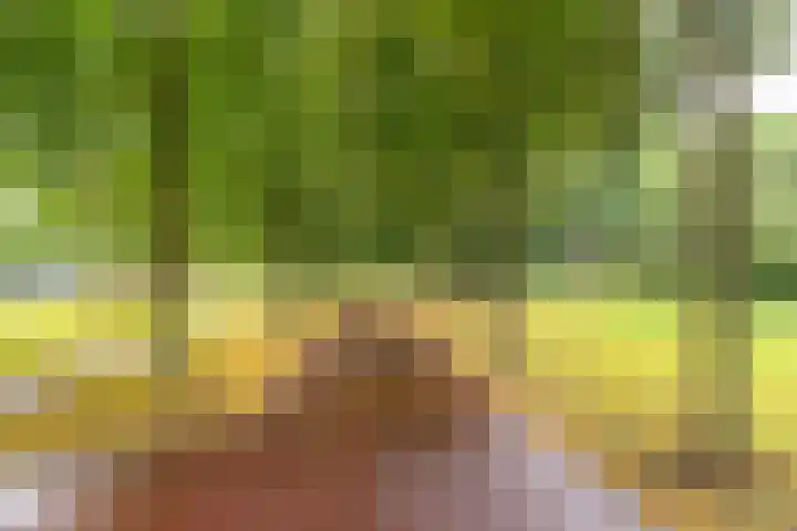 Distelvlinderberm 56 Houten thumbnail 32