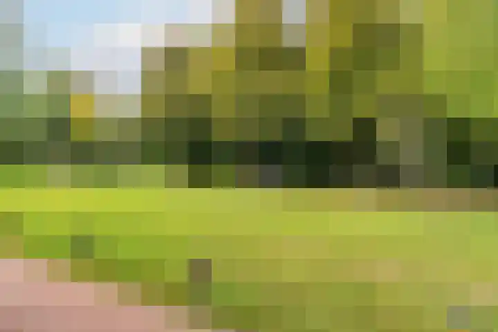 Distelvlinderberm 56 Houten thumbnail 33