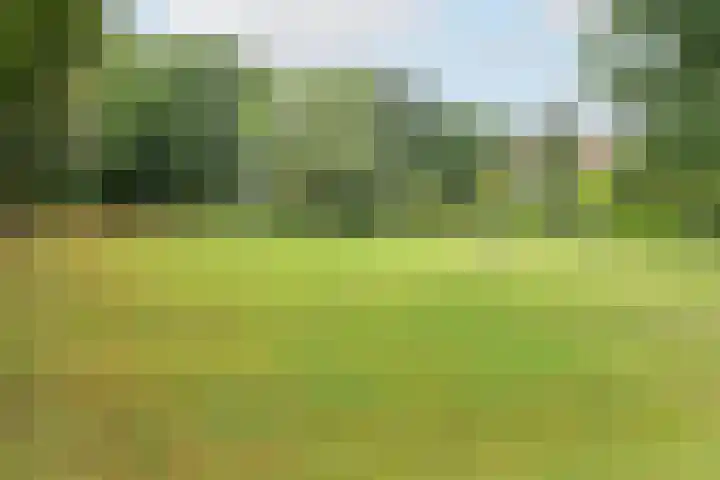 Distelvlinderberm 56 Houten thumbnail 34