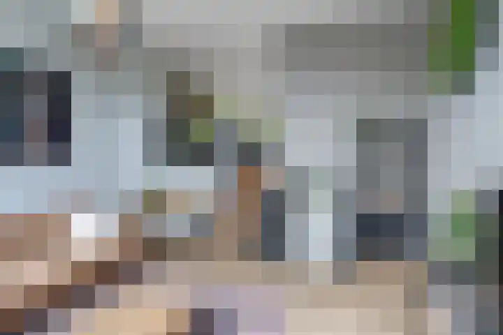 Distelvlinderberm 56 Houten thumbnail 5