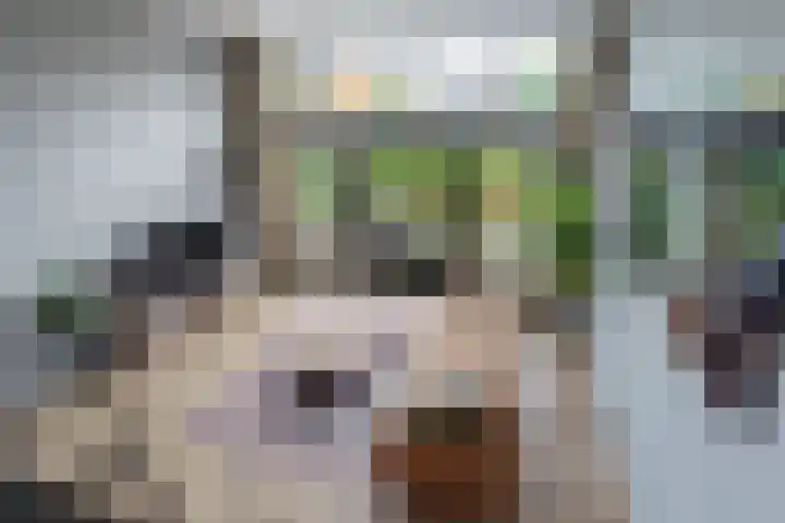 Distelvlinderberm 56 Houten thumbnail 6