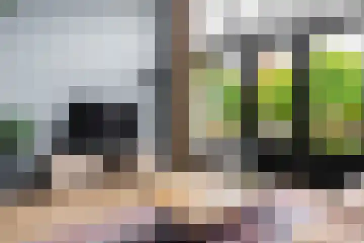Distelvlinderberm 56 Houten thumbnail 7