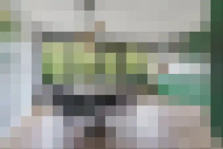 Distelvlinderberm 56 Houten thumbnail 8