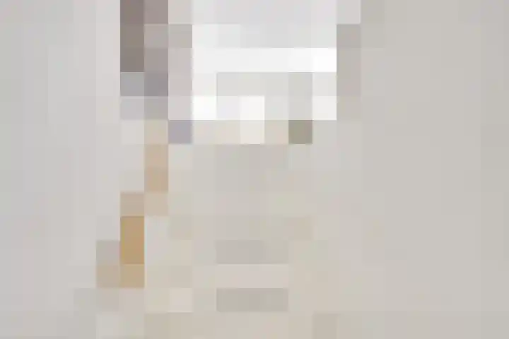 Distelvlinderberm 88 Houten thumbnail 12