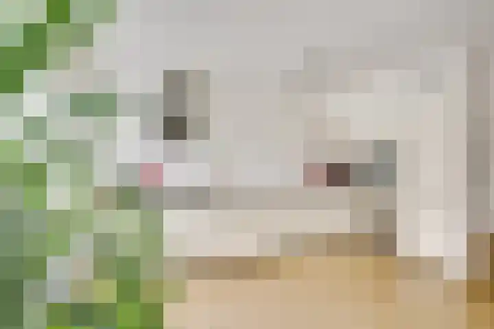 Distelvlinderberm 88 Houten thumbnail 23