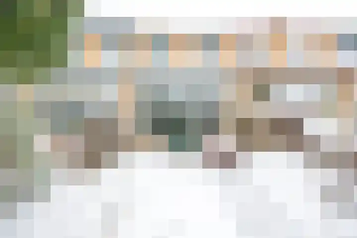 Distelvlinderberm 88 Houten thumbnail 28