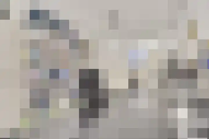 Distelvlinderberm 88 Houten thumbnail 5