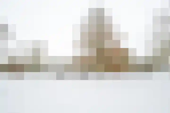Distelvlinderberm 88 Houten thumbnail 51