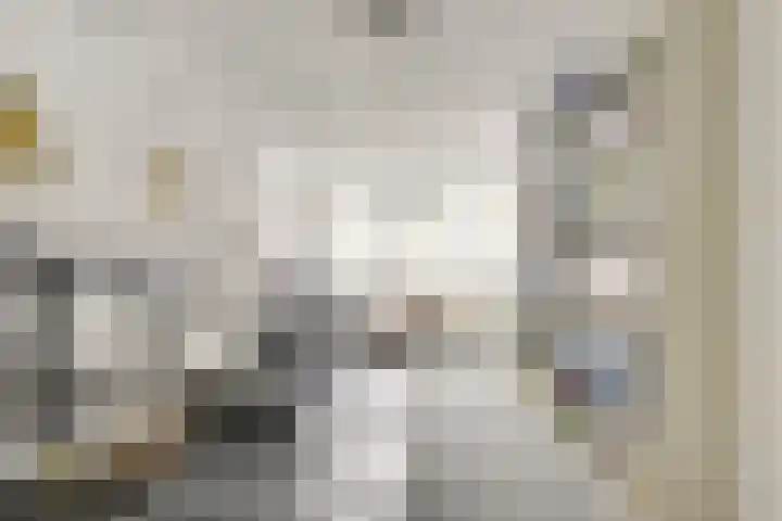 Distelvlinderberm 88 Houten thumbnail 6