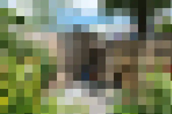 Distelvlinderberm 98 Houten thumbnail 10