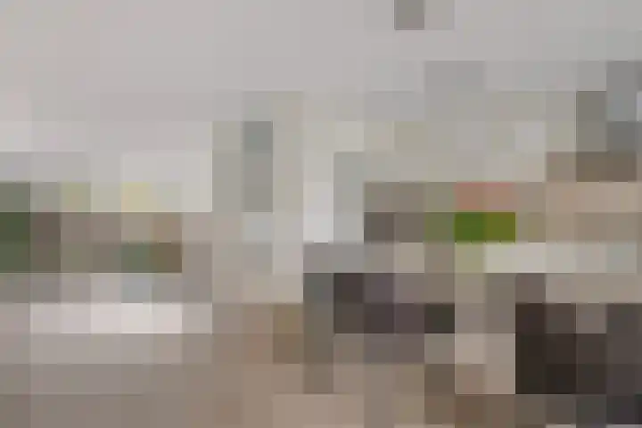 Distelvlinderberm 98 Houten thumbnail 13