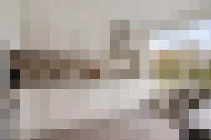 Distelvlinderberm 98 Houten thumbnail 15